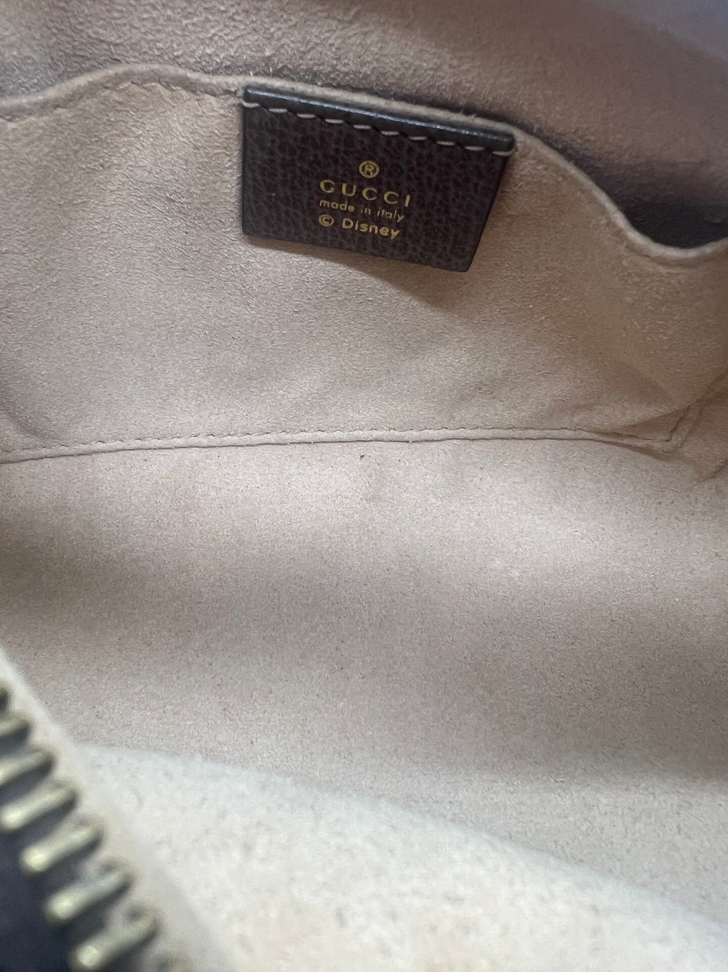 Authentic Gucci Donald Duck Canvas Camera Bag — Rare, Good Condition